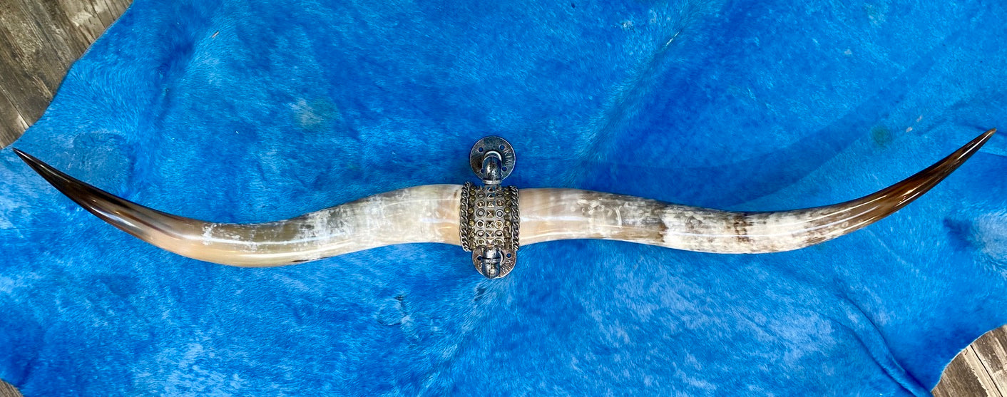 MOUNTED TEXAS LONGHORN STEER HORNS WITH METAL ADORNMENTS AND CHAINS by NYET Jewelry.
