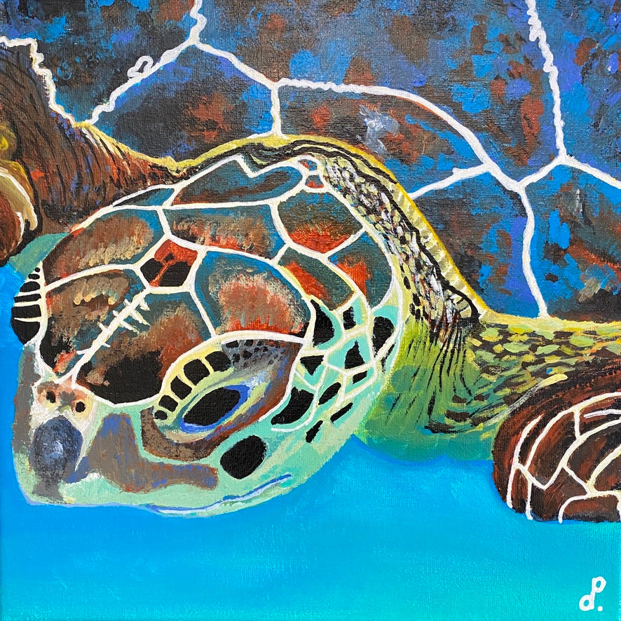 Toby the Turtle