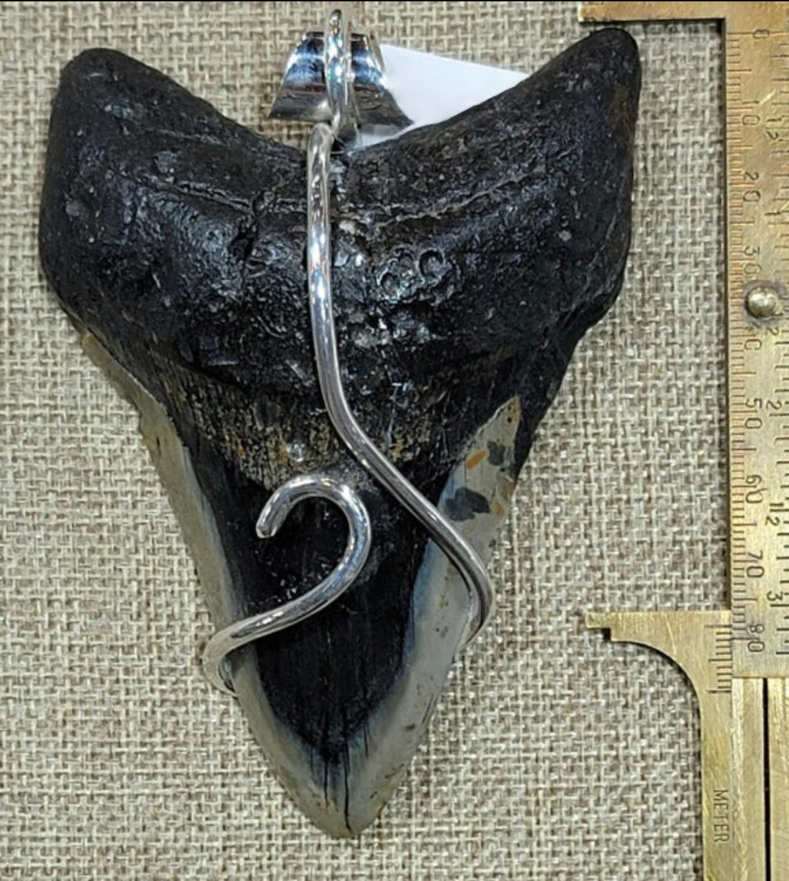 Megalodon Tooth 5-in-1 Rubber Necklace 11