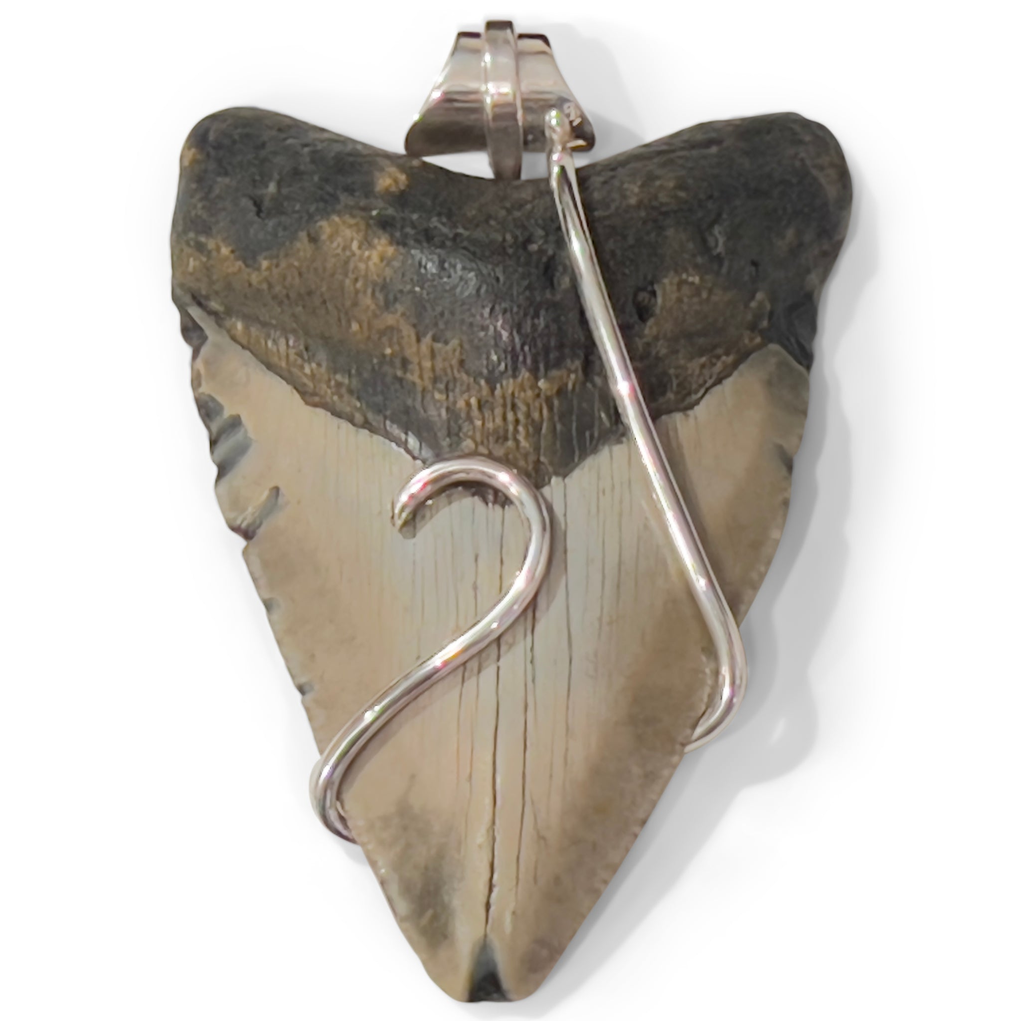 2-STRAND BLACK RUBBER NECKLACE WITH OVERSIZED MEGALODON TOOTH WRAPPED IN SILVER. by NYET Jewelry