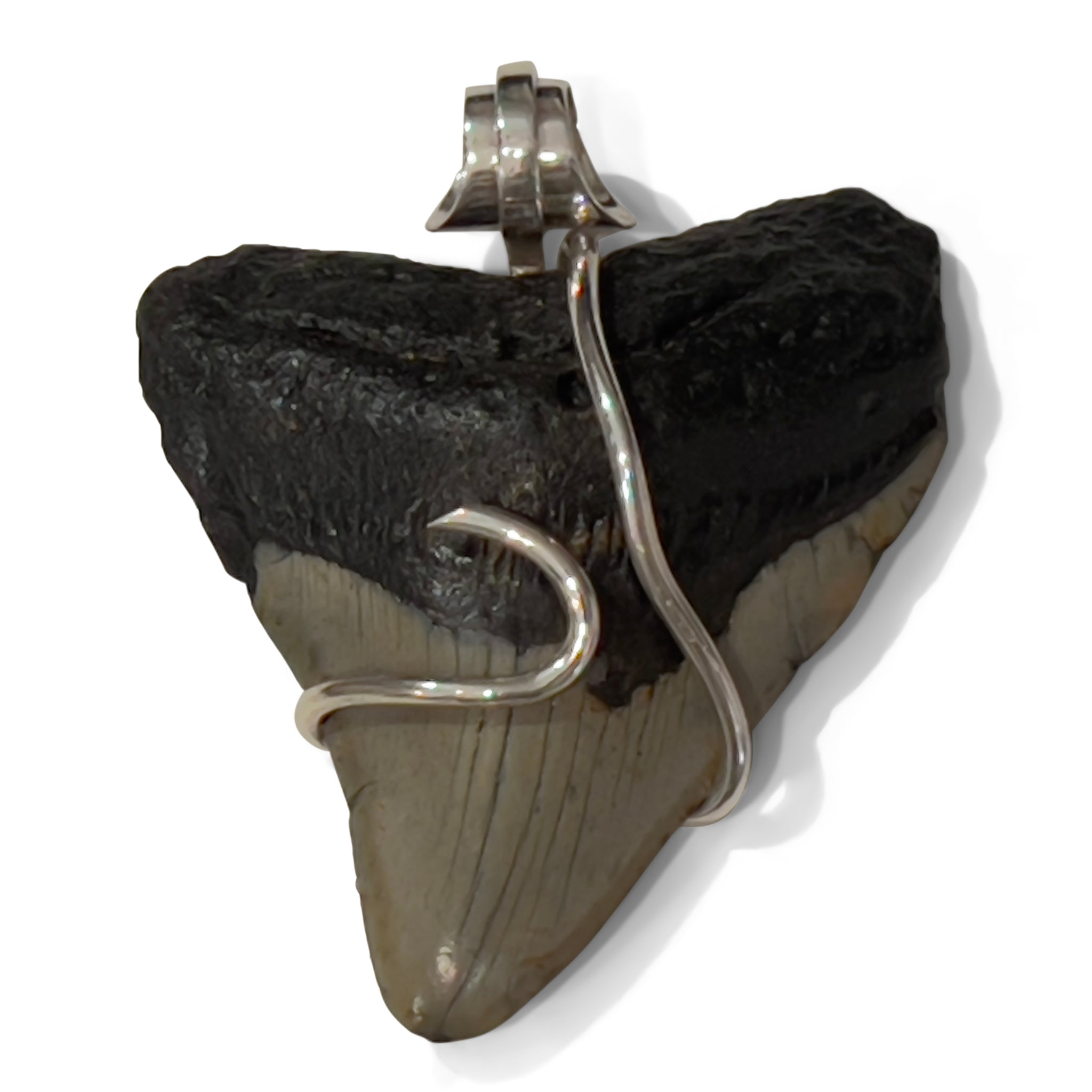 Megalodon Tooth 5-in-1 Rubber Necklace 4 by NYET Jewelry