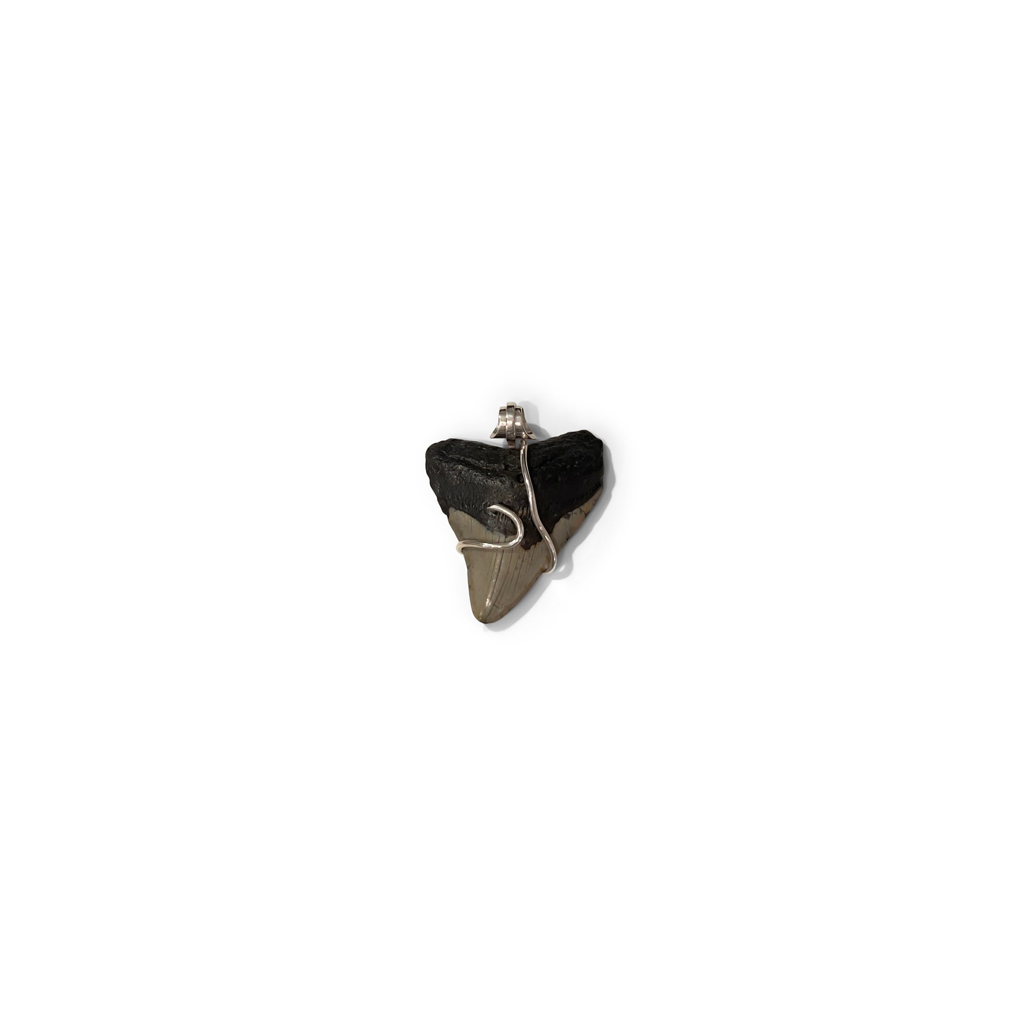 Megalodon Tooth 5-in-1 Rubber Necklace 4 by NYET Jewelry