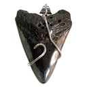 Megalodon Tooth 5-in-1 Rubber Necklace 8