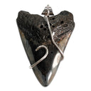 Megalodon Tooth 5-in-1 Rubber Necklace 8