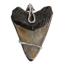 Megalodon Tooth 5-in-1 Rubber Necklace 8