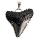 Megalodon Tooth 5-in-1 Rubber Necklace 10