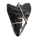 Megalodon Tooth 5-in-1 Rubber Necklace 9