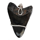 Megalodon Tooth 5-in-1 Rubber Necklace 9