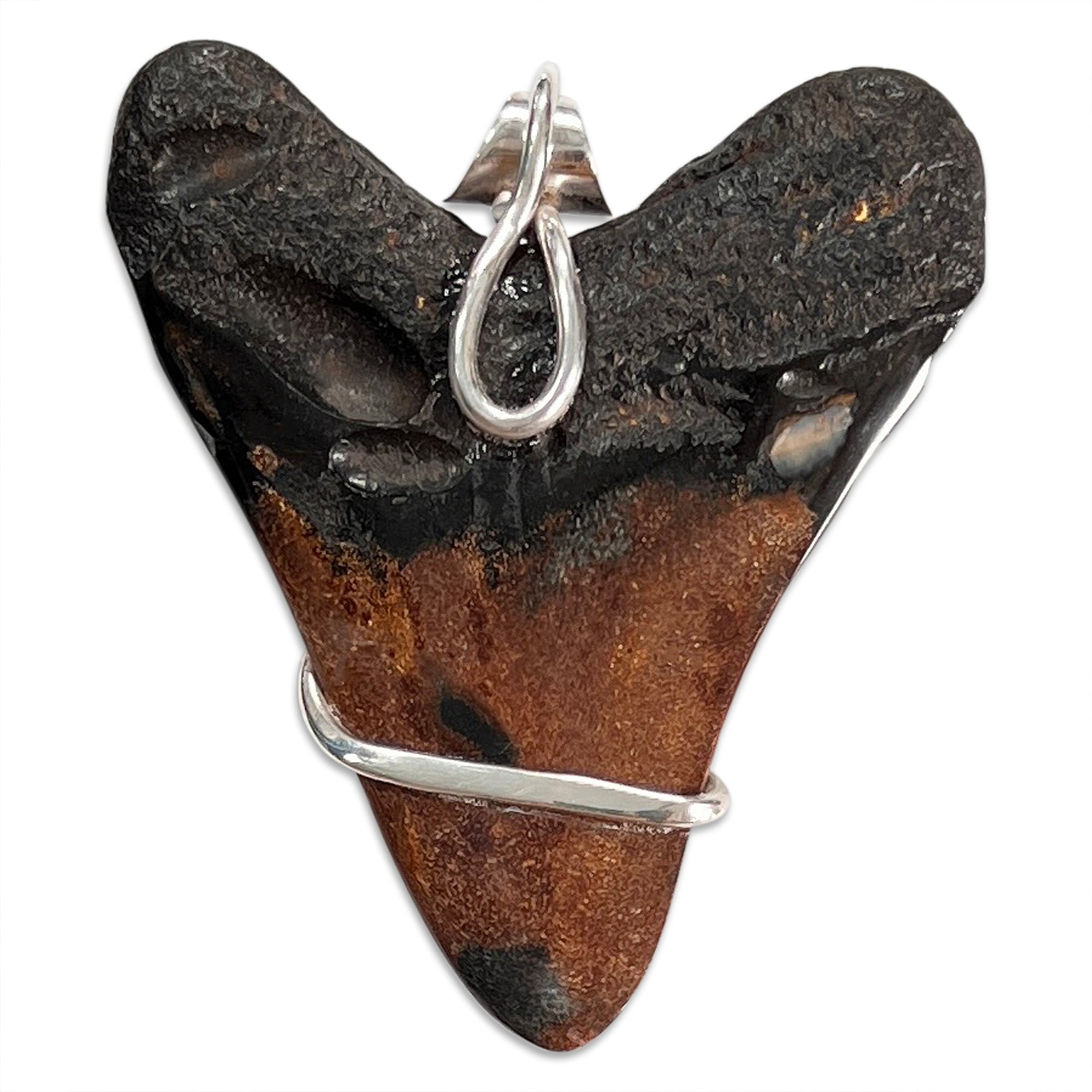 Megalodon Tooth 5-in-1 Rubber Necklace 7