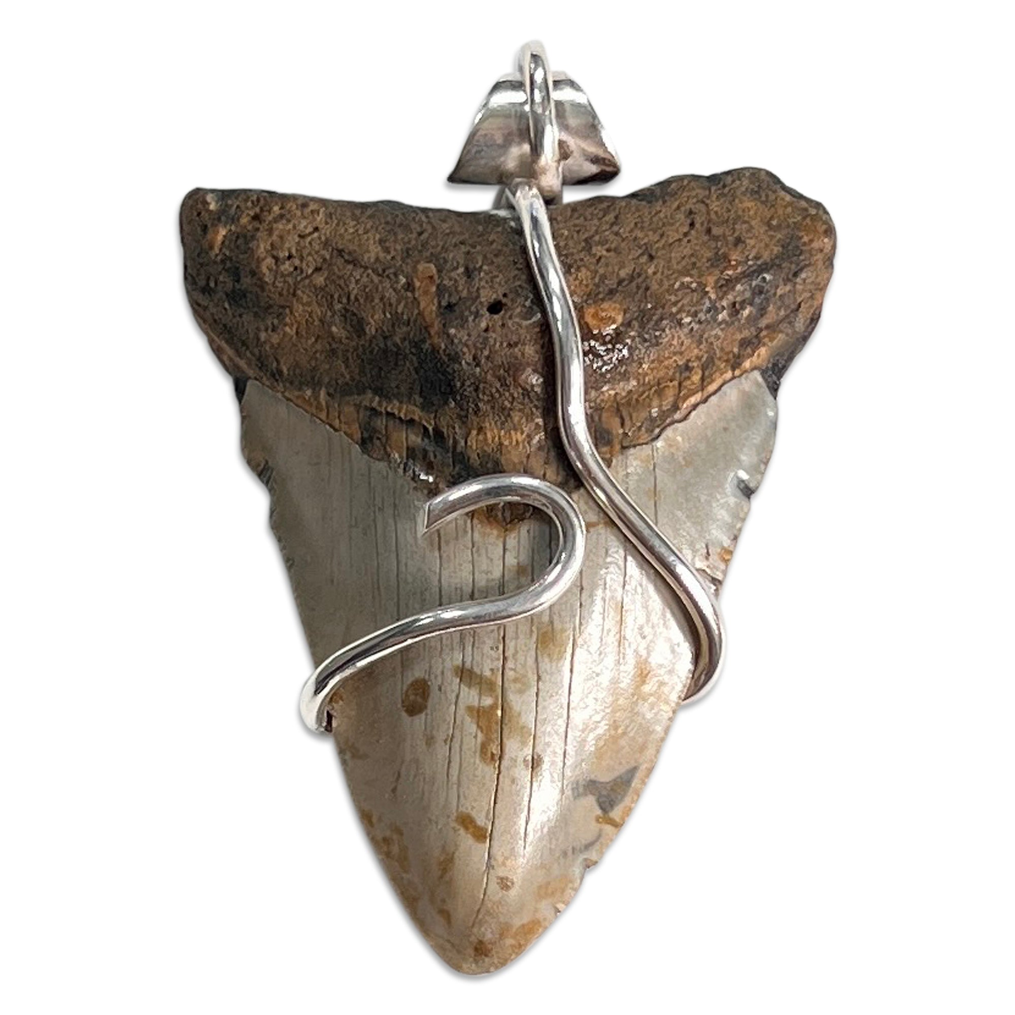 Megalodon Tooth 5-in-1 Rubber Necklace 6