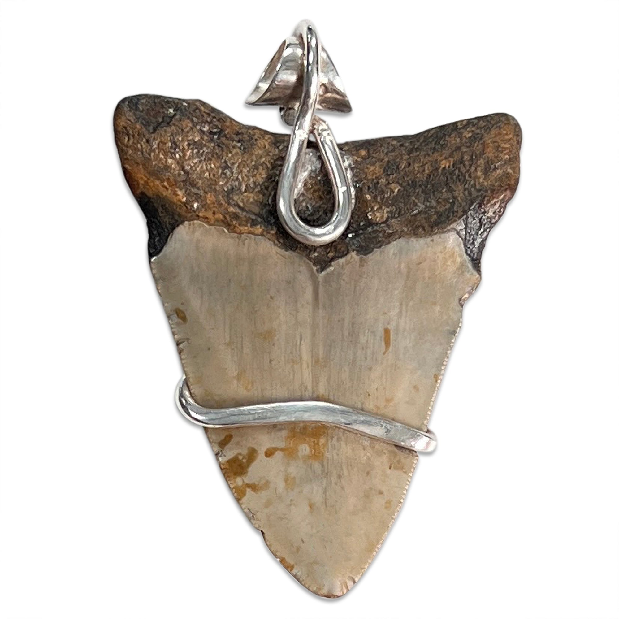 Megalodon Tooth 5-in-1 Rubber Necklace 6