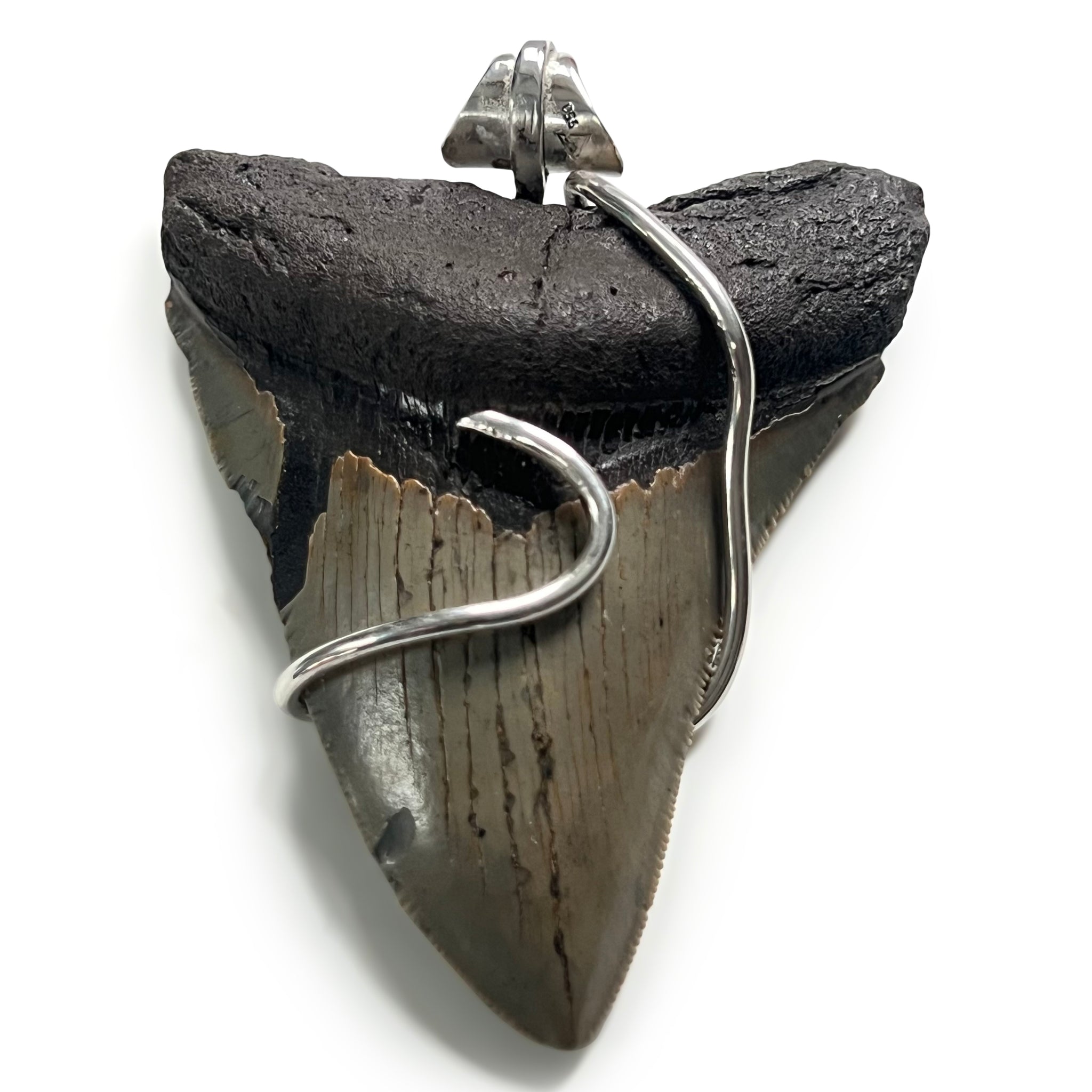 Megalodon Tooth 5-in-1 Rubber Necklace III