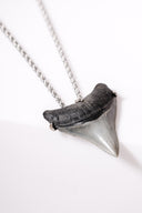 Unisex Megalodon Tooth Pendent in Silver