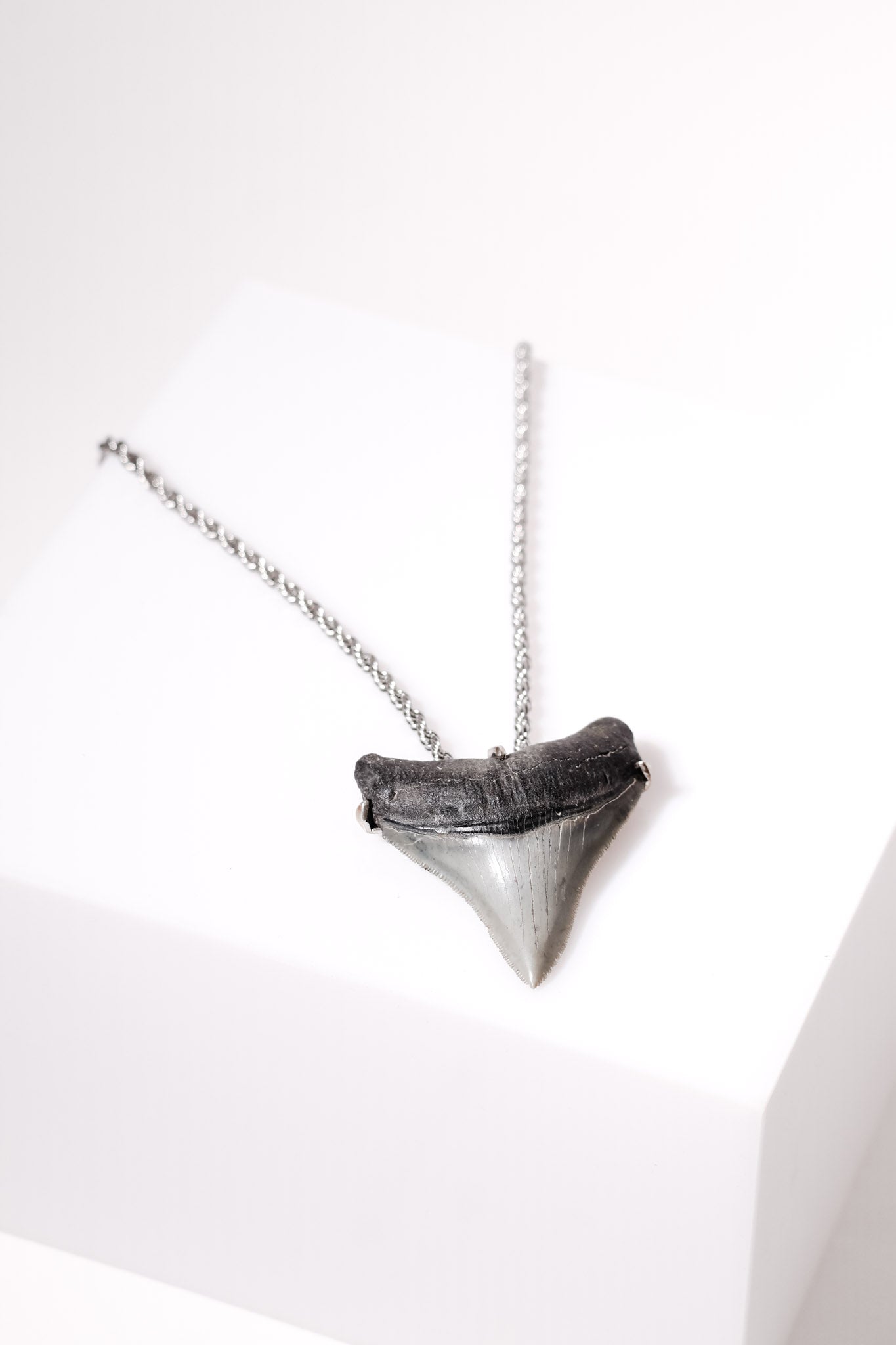 Unisex Megalodon Tooth Pendent in Silver