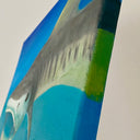 juvenile tiger shark oil painting by Delphine Pontvieux