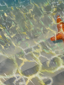 SEA STAR BY THE SHORE PAINTING. by NYET Jewelry