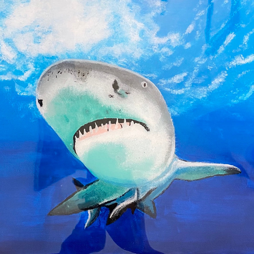Lemon Shark painting by D Pontvieux close up