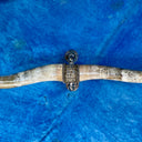 MOUNTED TEXAS LONGHORN STEER HORNS WITH METAL ADORNMENTS AND CHAINS by NYET Jewelry.