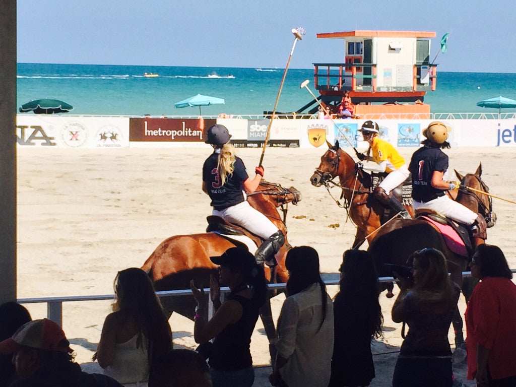 2014 Beach Polo World Cup X