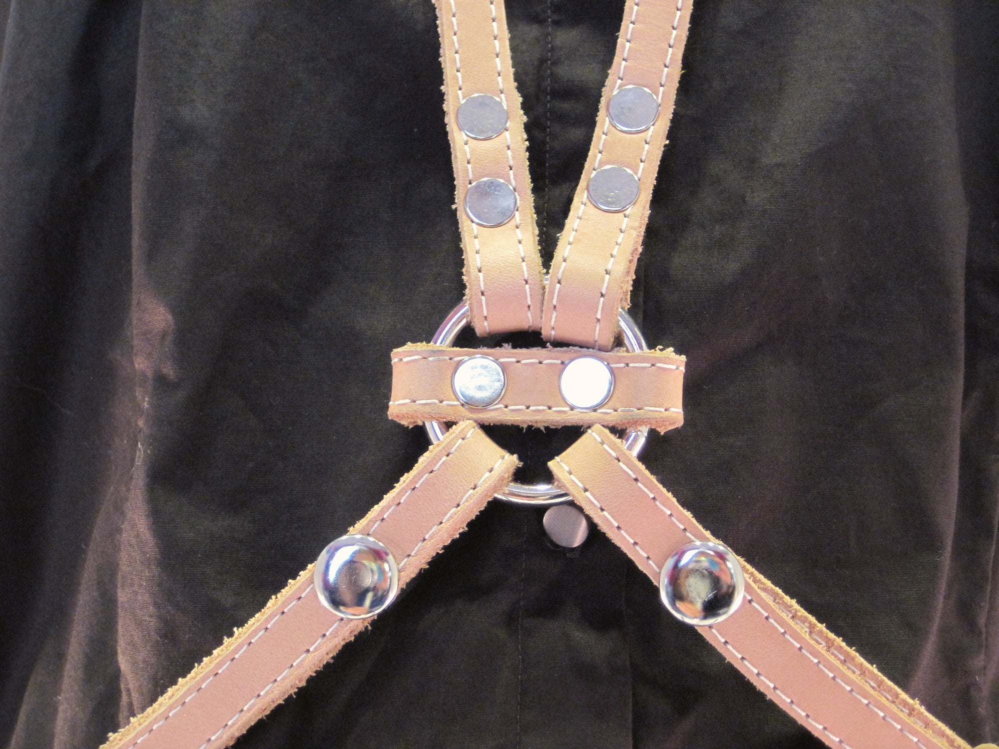 Crossover Harness Belt