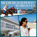 2014 Beach Polo World Cup X